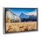 Stupell Industries Coyote in Mountain Prairie Floating Frame, design by Jeff Poe Photography